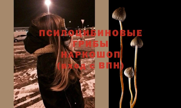 мяу мяу мука Медвежьегорск