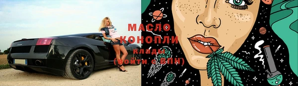шишки Чердынь