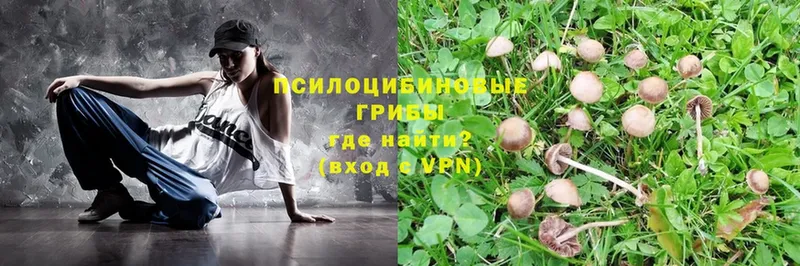 даркнет сайт  Голицыно  Галлюциногенные грибы Magic Shrooms 